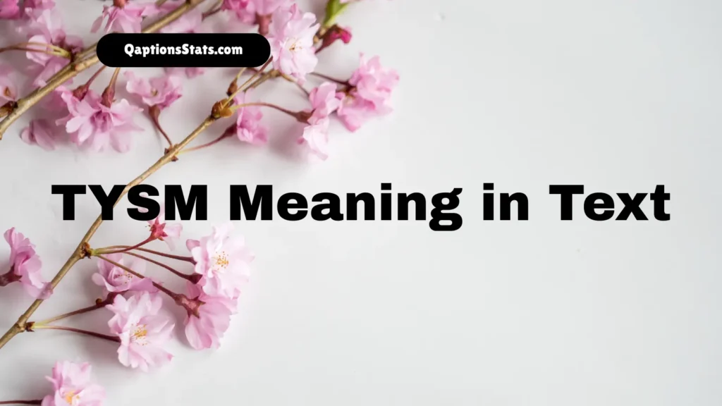 tysm-meaning-in-text