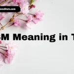 tysm-meaning-in-text