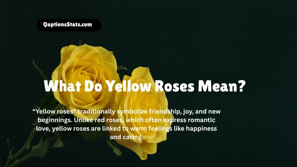 what-do-yellow-roses-mean