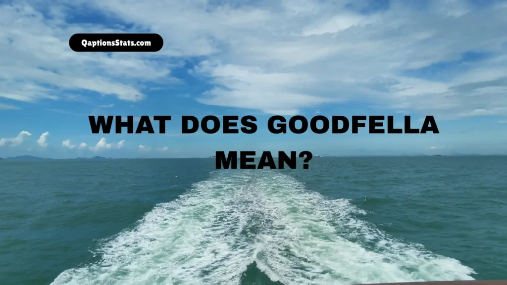 what-does-goodfella-mean