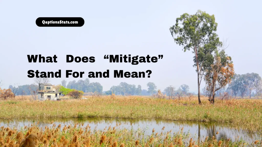 what-does-mitigate-stand-for-and-mean