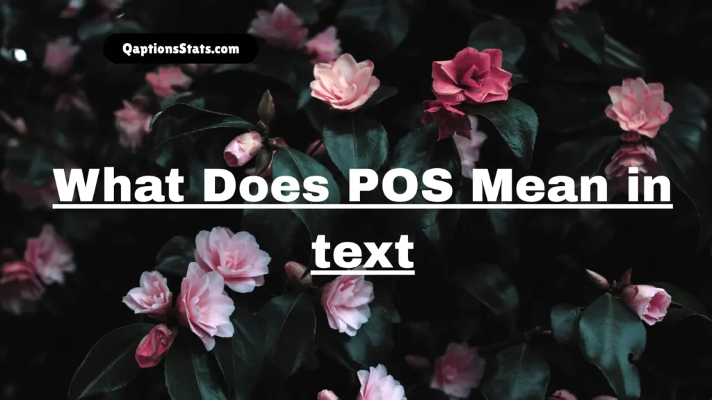 what-does-pos-mean-in-text