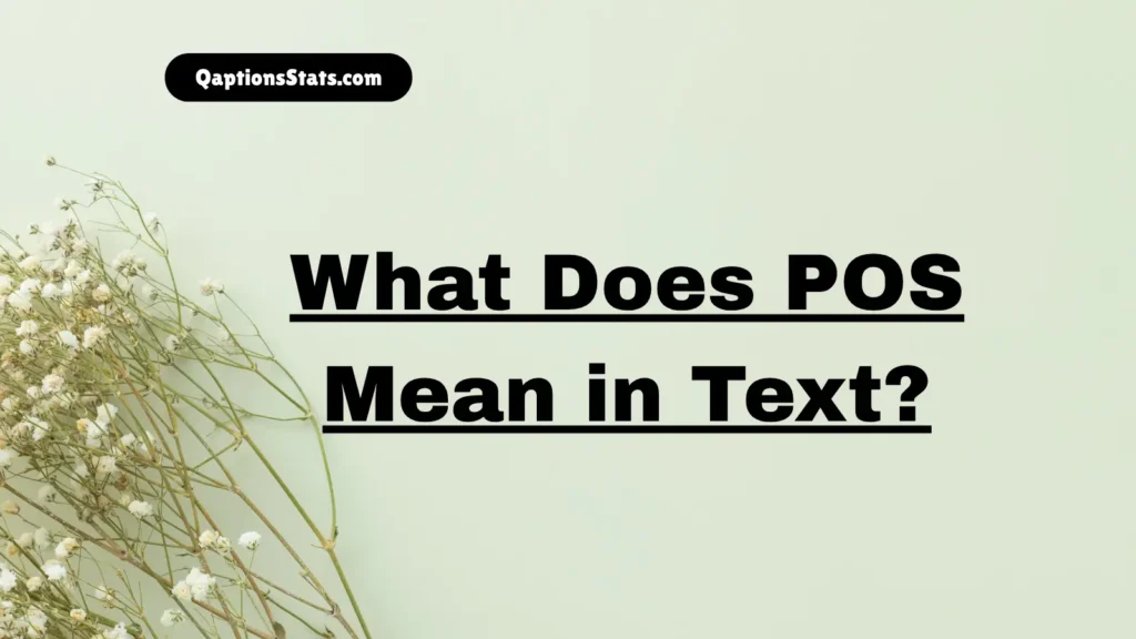 what-does-pos-mean-in-text