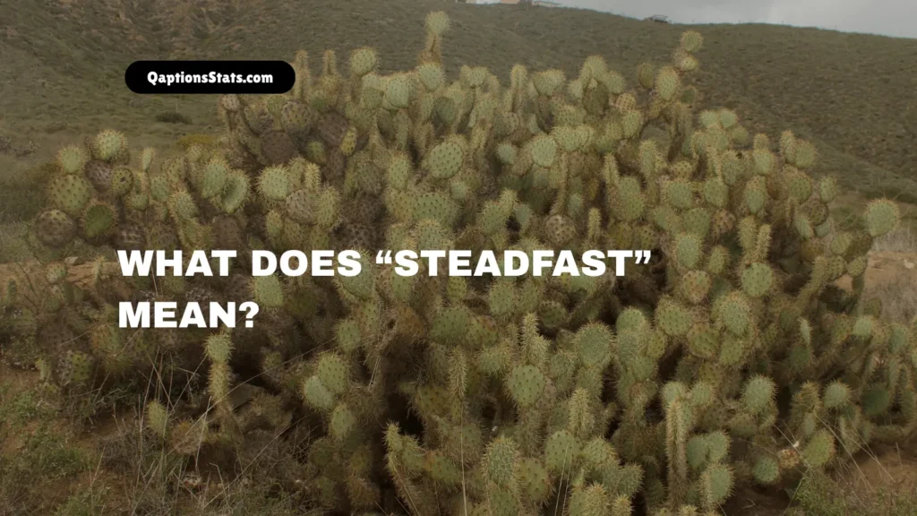 what-does-steadfast-mean