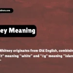 whitney-meaning