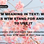 wtm-meaning-in-text-what-does-wtm-stand-for-and-how-to-use-it