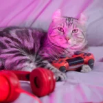 Feline-Inspired Fun A Look into Cat-Themed Online Games