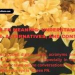 green-fn-meaning-understanding-its-use-alternatives-and-contexts