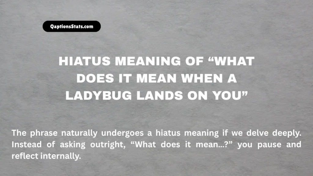hiatus-meaning-of-what-does-it-mean-when-a-ladybug-lands-on-you