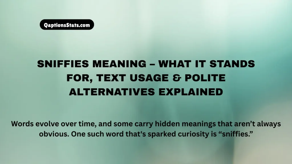 sniffies-meaning-–-what-it-stands-for-text-usage-and-polite-alternatives-explained