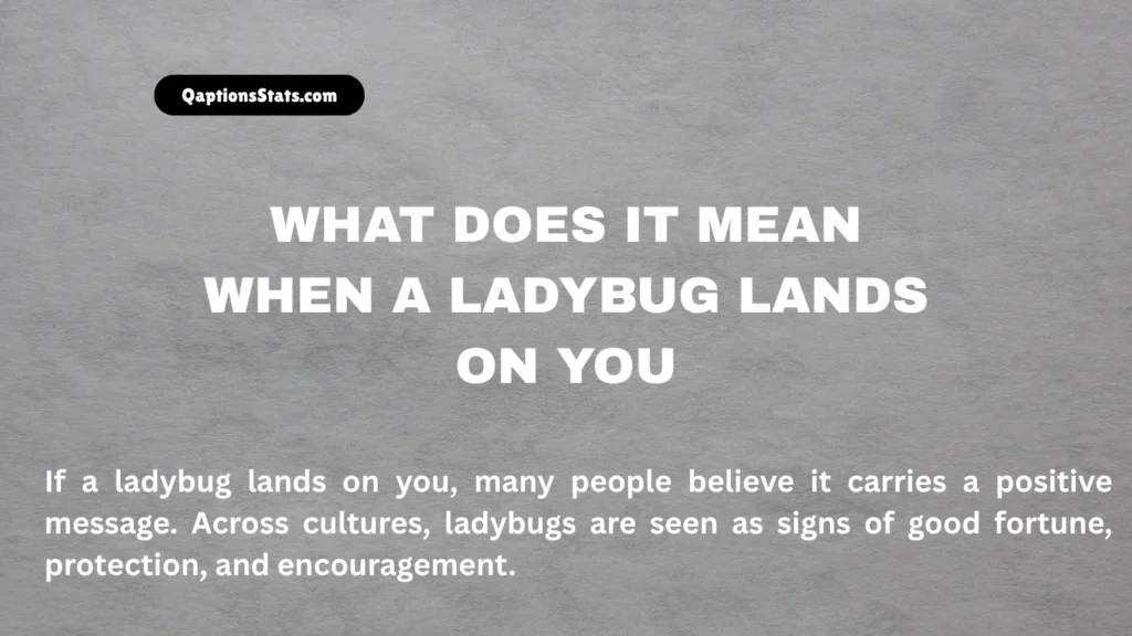 what-does-it-mean-when-a-ladybug-lands-on-you