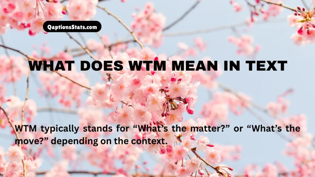 what-does-wtm-mean-in-text
