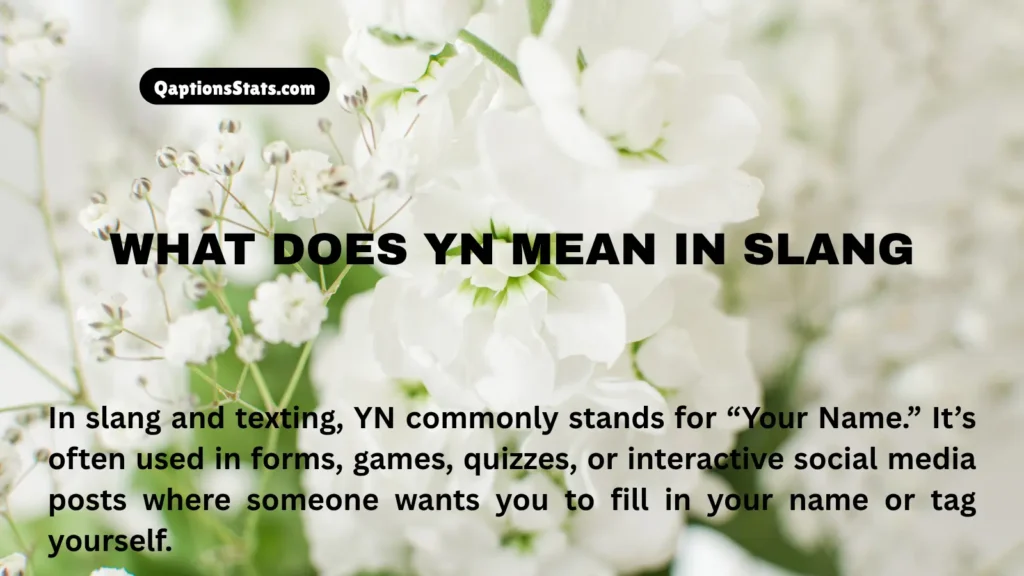 what-does-yn-mean-in-slang
