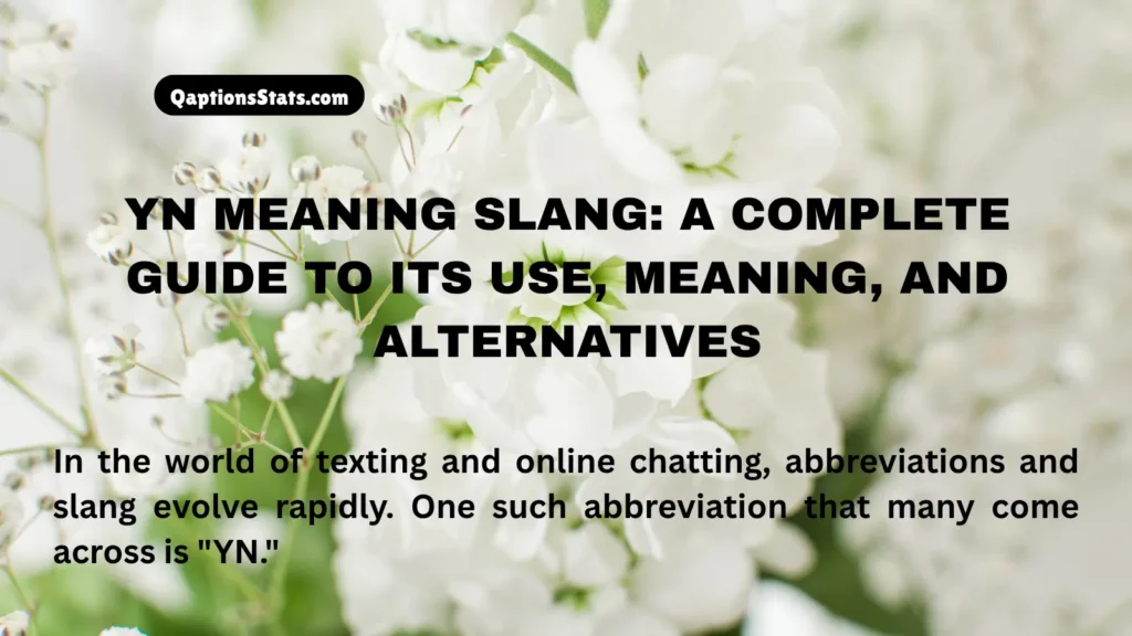 yn-meaning-slang-a-complete-guide-to-its-use-meaning-and-alternatives