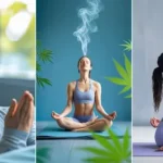 CBD and Modern Wellness: A Breath of Calm in a Fast-Paced World