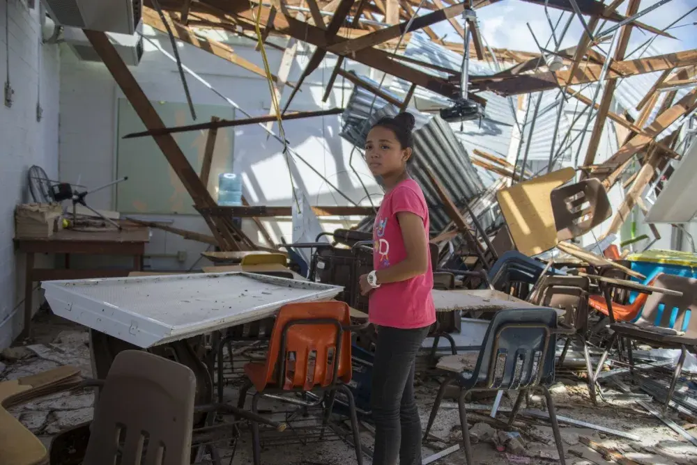 Typhoon Cleanup 101 Protecting Your Home and Health