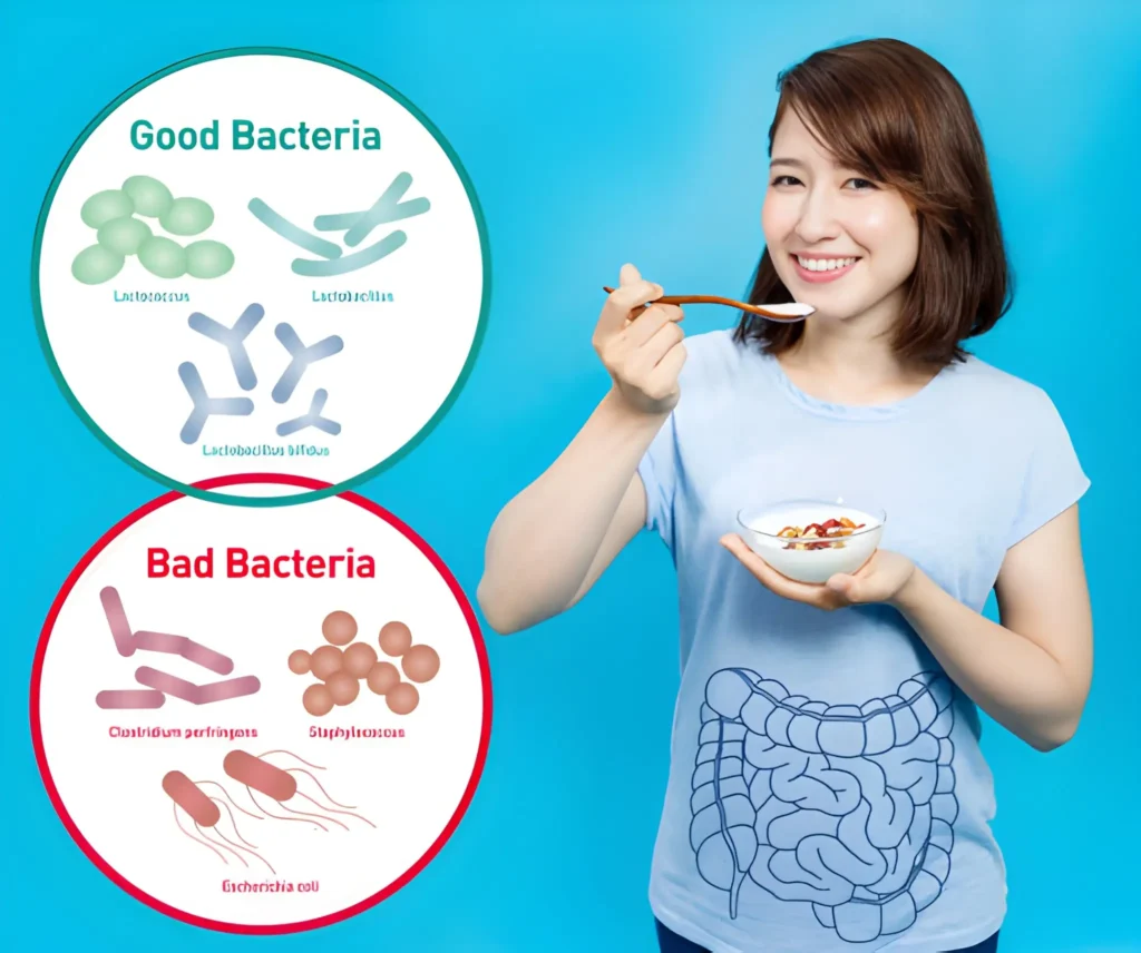 Do Women Need Different Probiotics Than Men
