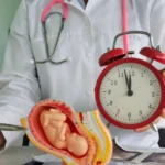 The Latest Advances in IVF That Are Now Available in South Carolina