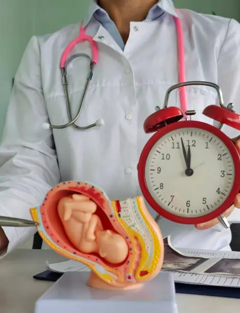 The Latest Advances in IVF That Are Now Available in South Carolina