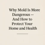 Why Mold Is More is Dangerous — And How to Protect Your Home and Health