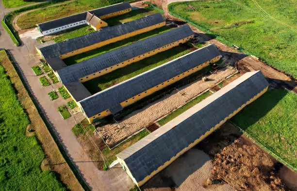 Meet the Company Behind the Most Talked-About Modular Barns of 2025