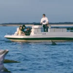 Discover the Magic of a Dolphin Cruise Hilton Head Island Adventure