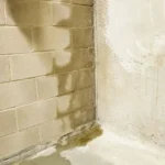How to Choose the Best Basement Waterproofing Method for Your Home