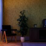 The Bold Move That Changes Everything Why Black Wallpaper Works in Any Room