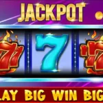 Unleash Your Luck with 55 Club Slot Machines