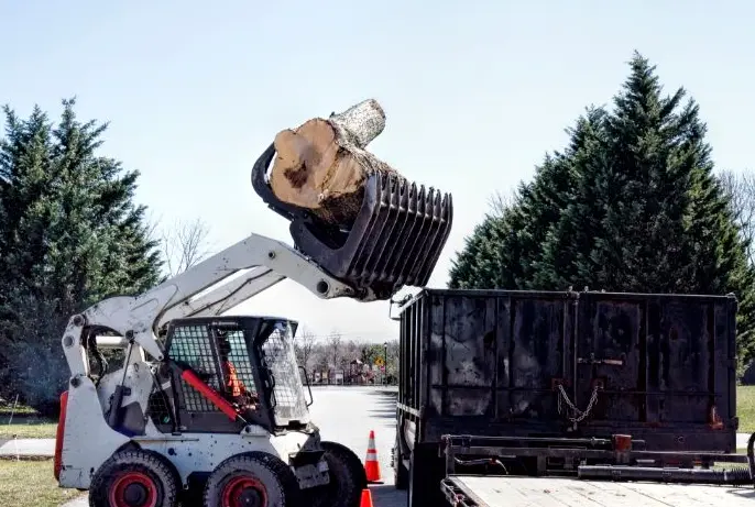 What Trees You Are Not Allowed to Cut Down and When to Call a Tree Cutting Service