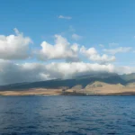 Why Maui Fishing Trips Are So Popular With First-Time Anglers