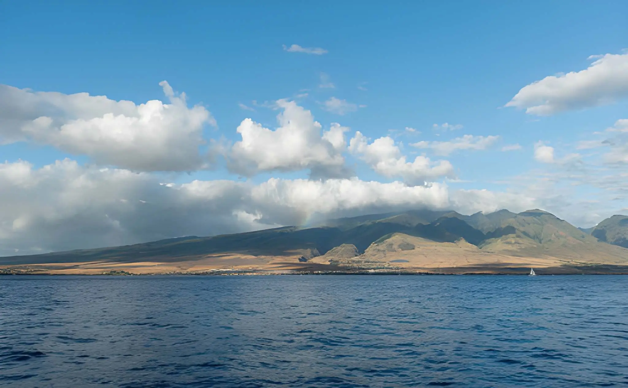 Why Maui Fishing Trips Are So Popular With First-Time Anglers