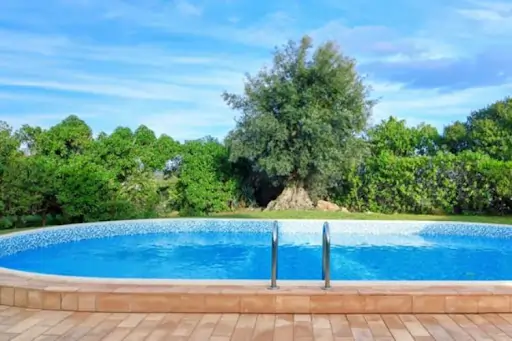 Your Pool Maintenance Checklist: Daily, Weekly, and Monthly Must Dos