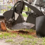 Effective Tree Removal Strategies to Prevent Roots from Growing Back